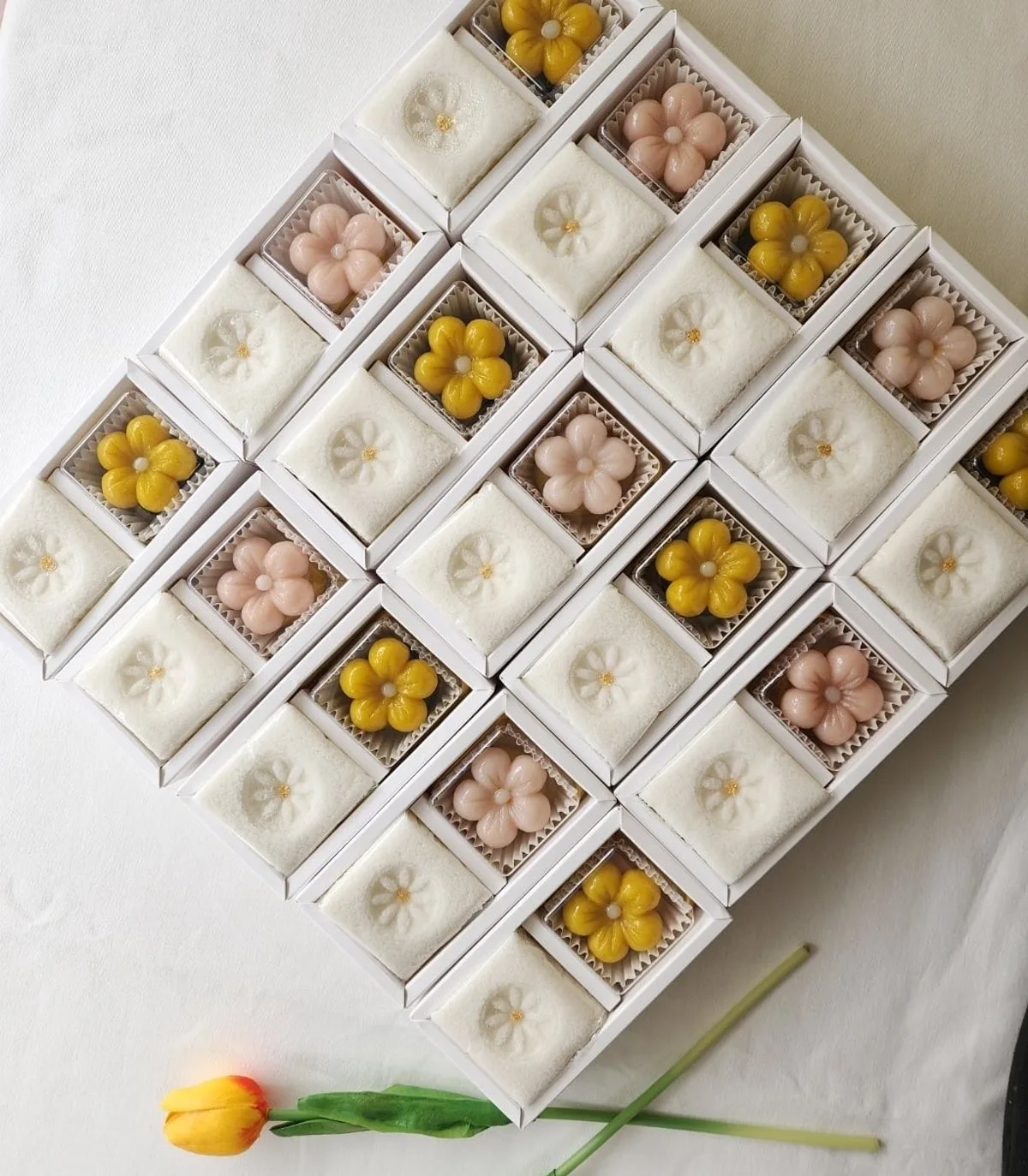 ソルケーキのメイン写真