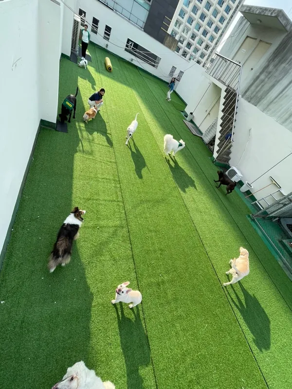 ラオン幼稚園の写真3