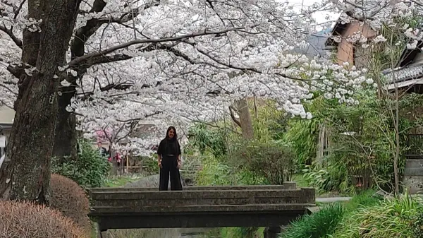 Philosopher's Path (Tetsugaku no Michi), North End, photo 3