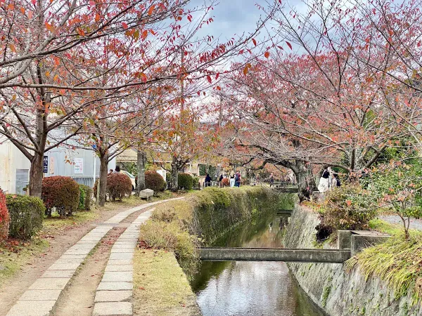 Philosopher's Path (Tetsugaku no Michi), North End, photo 4