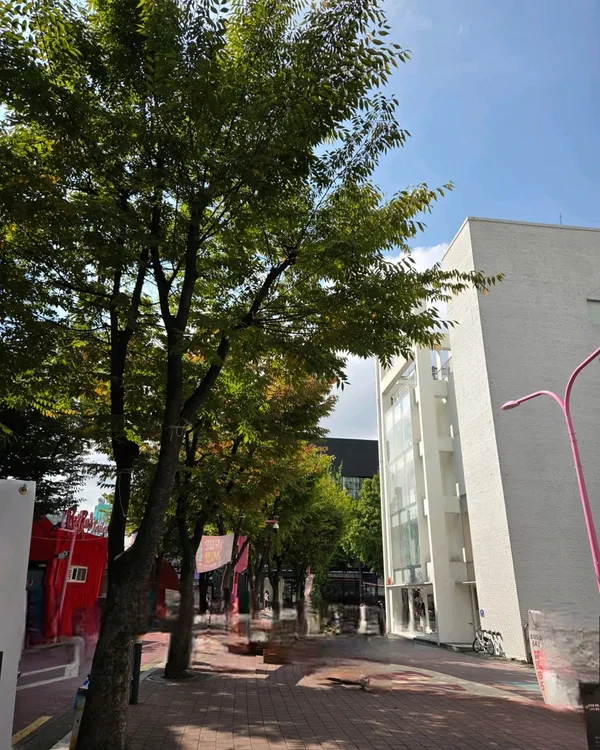 홍대걷고싶은거리 사진 4