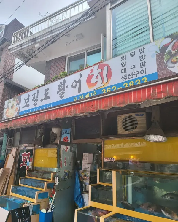보길도활어회 사진 4