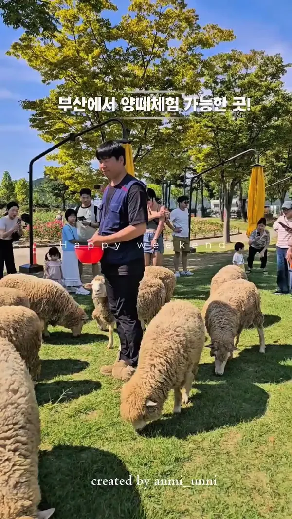 ヘウンデスモクウォンの写真2
