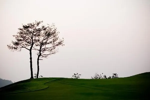 서라벌골프클럽 사진 4