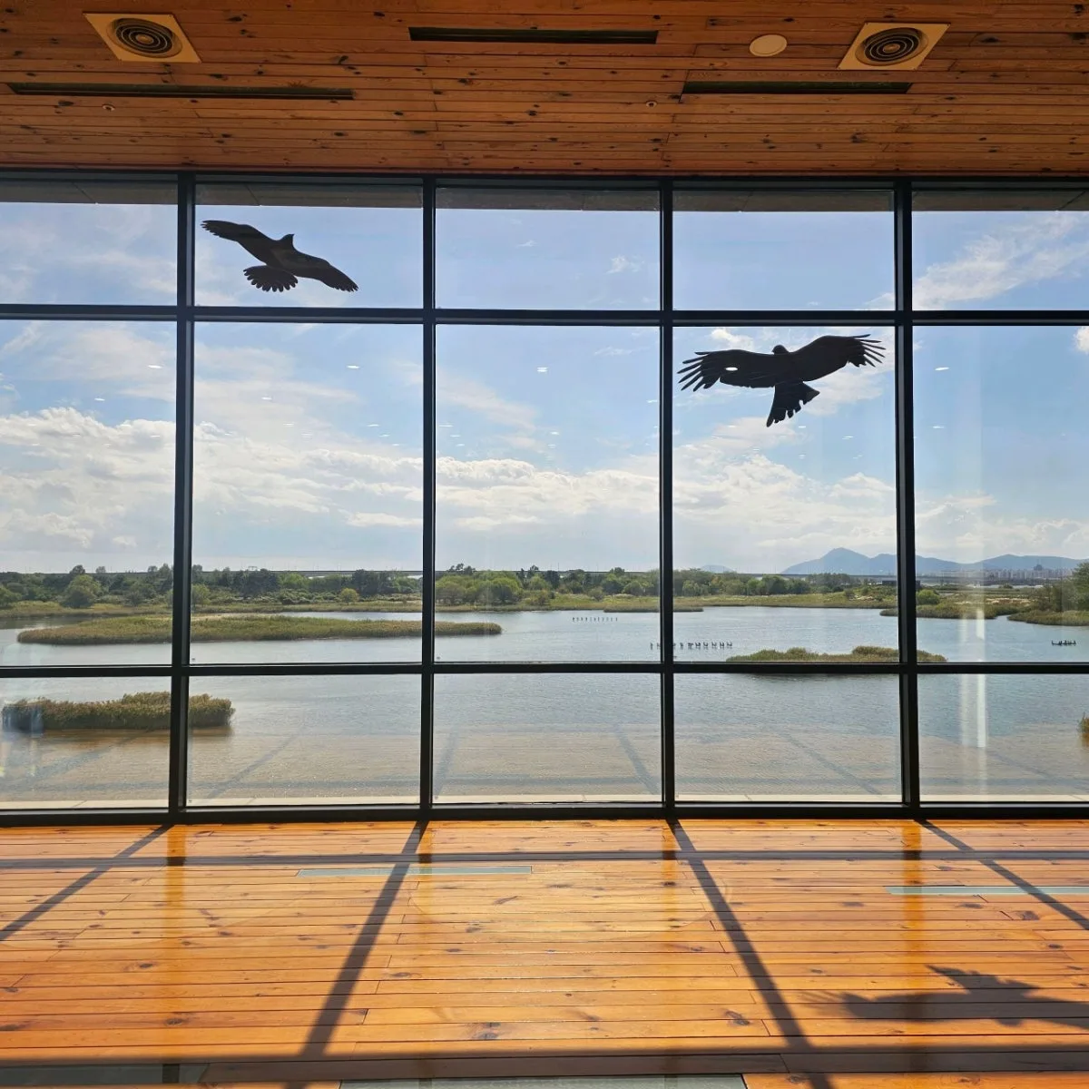 Eulsukdo Ecological Park Nakdong River Estuary Eco Center, main photo