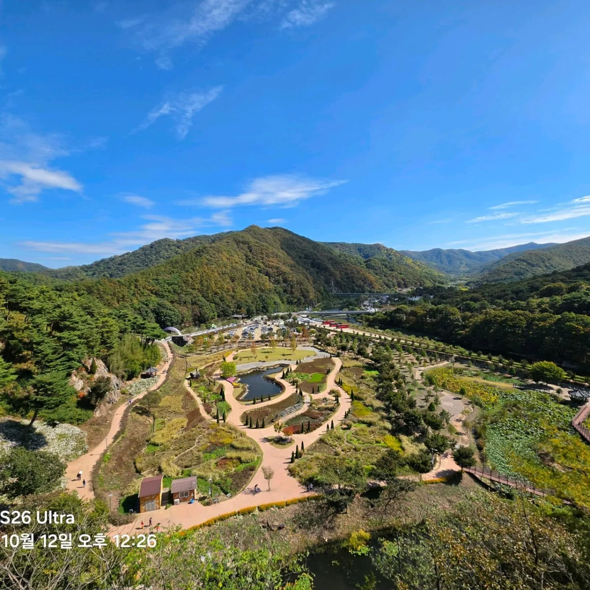 옥정호구절초축제