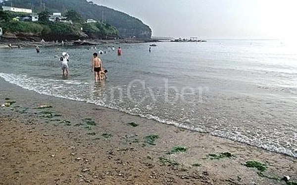 キョクポ海水浴場の写真5