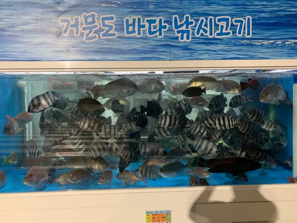 낚시고기횟집 사진 3