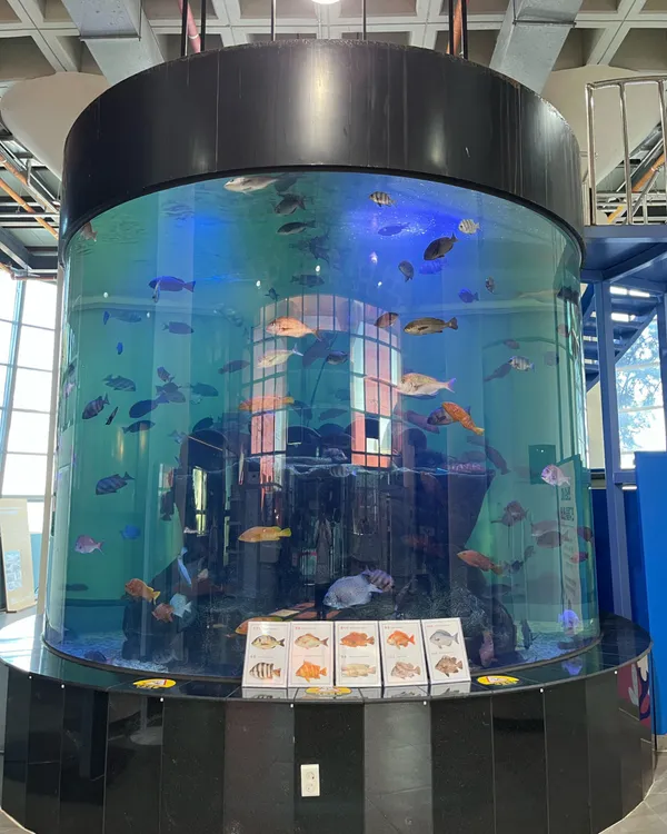 全羅南道海洋水産科学館の写真2