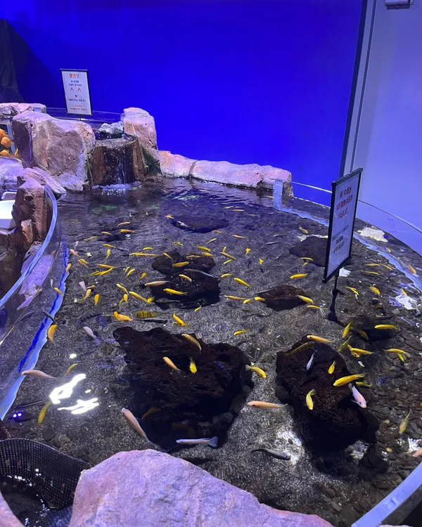 全羅南道海洋水産科学館の写真4