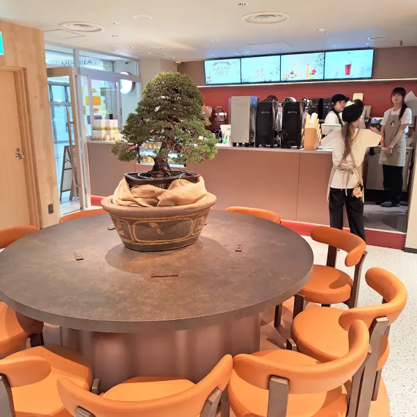 BEUTEA メイチカ店の写真4