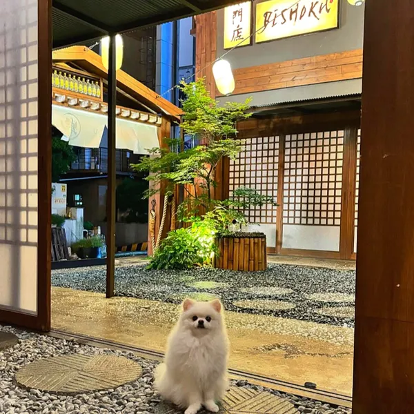ピショク クァンアン店の写真3