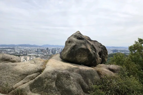 アンサンの写真3