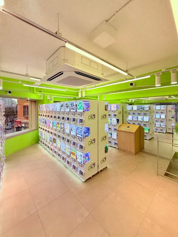 キャクティ ガチャショップ ヨンナム店の写真4