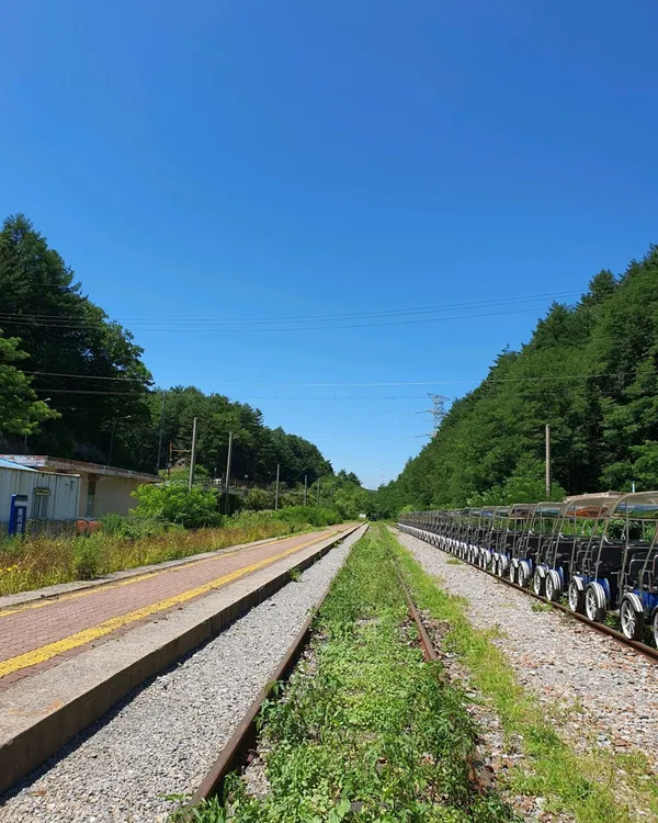ハイワンチュチュパークレールバイクの写真3