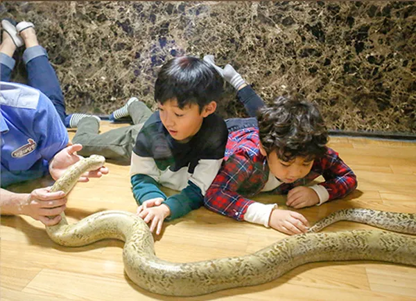 정글대탐험 하이원추추파크점の写真3