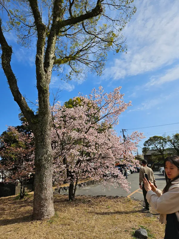간다강 광장 (神田川ふれあい広場)の写真5