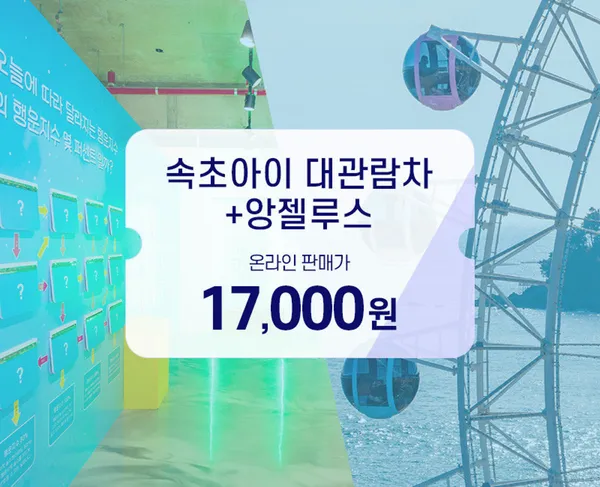 속초아이대관람차 사진 5