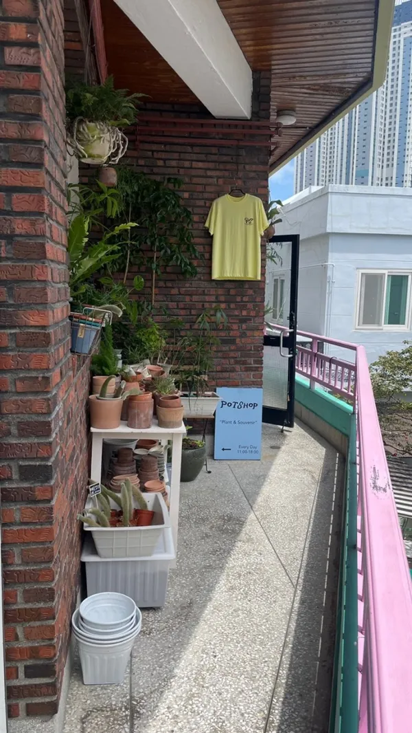 パッシャプの写真5