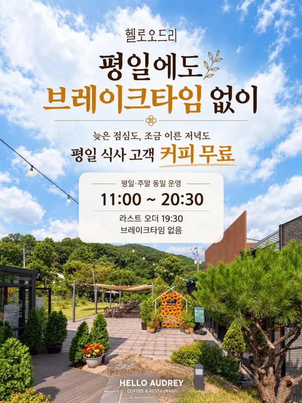 헬로오드리 사진 5