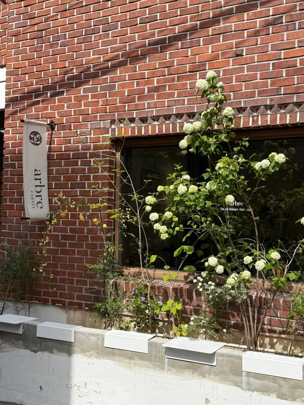 カフェ アブルの写真5