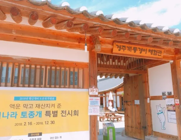 Gyochon Village, photo 3