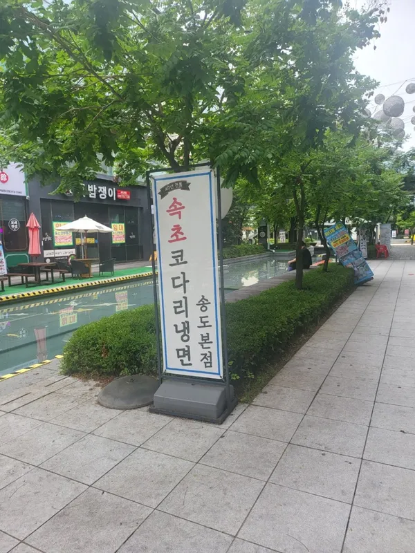 ソクチョ コダリネンミョン ソンド本店の写真4