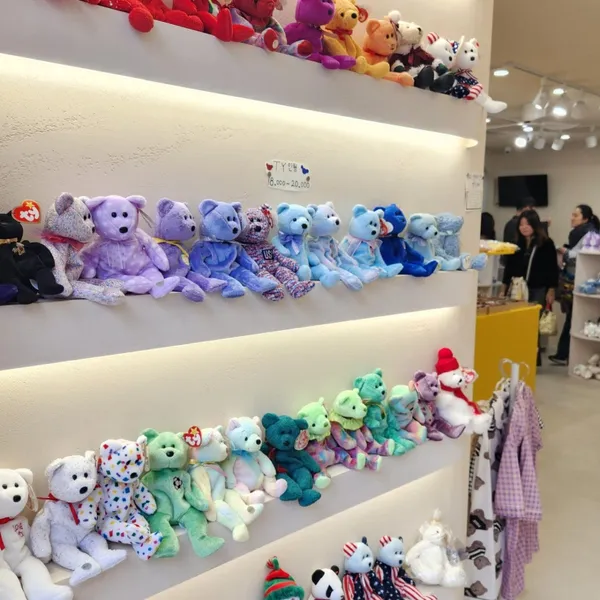 ヒピモンド リビングの写真4