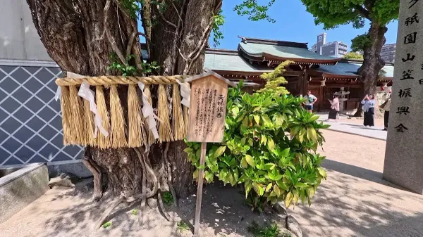 구시다 신사 사진 5
