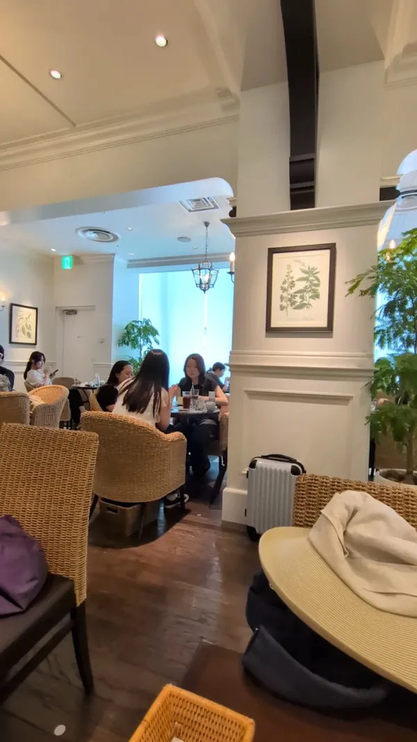 하브스 파르코 신사이바시점の写真5
