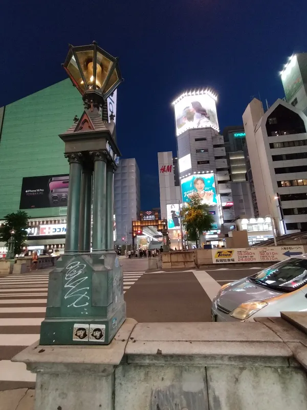 シンサイバシスジ