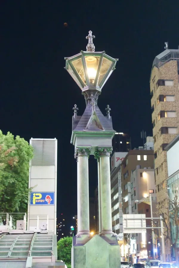 シンサイバシスジの写真3
