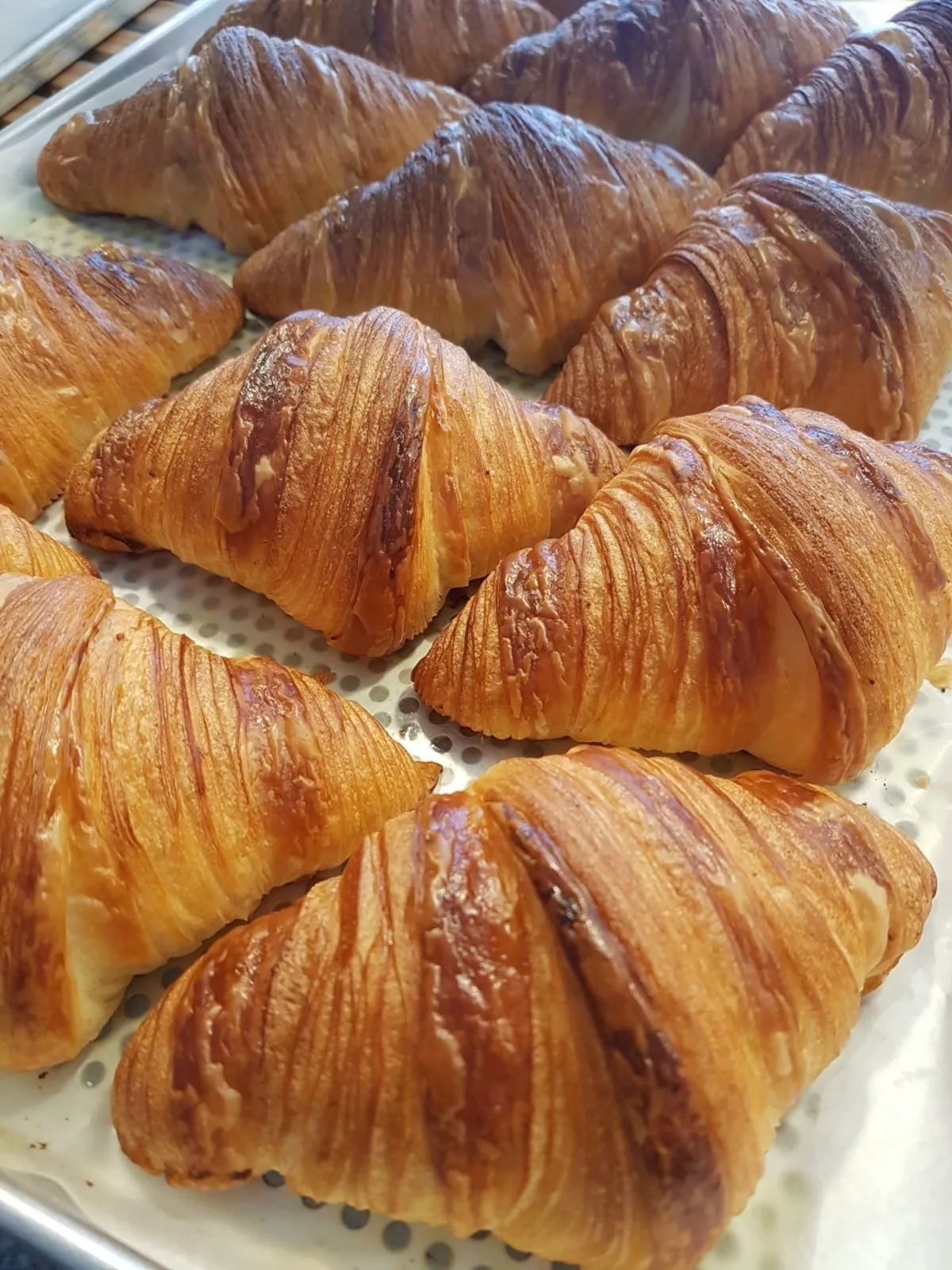 bread365のメイン写真