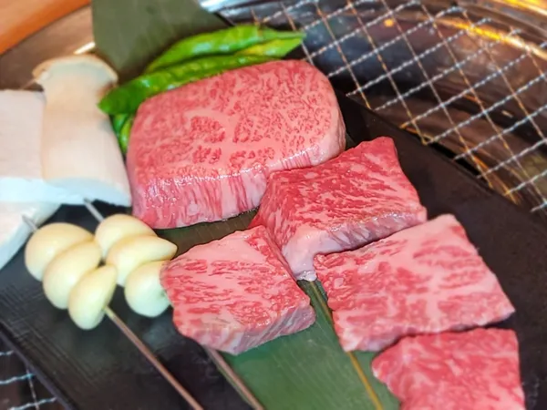 アミヤン コプチャンの写真2