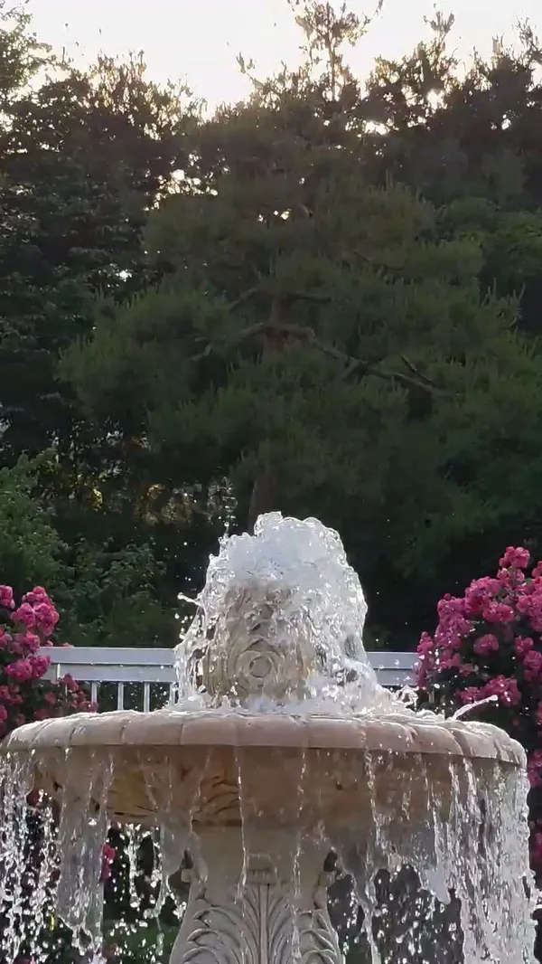 コインドル公園