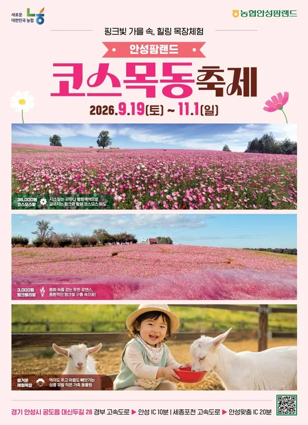 ノンヒョッキョンジェジジュ アンソンパムランドの写真3