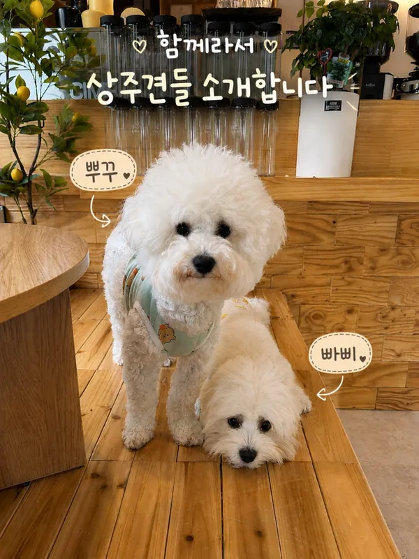 함께라서 사진 2