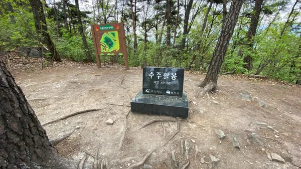 スジュパルボン