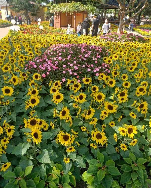 의령군민공원 사진 2