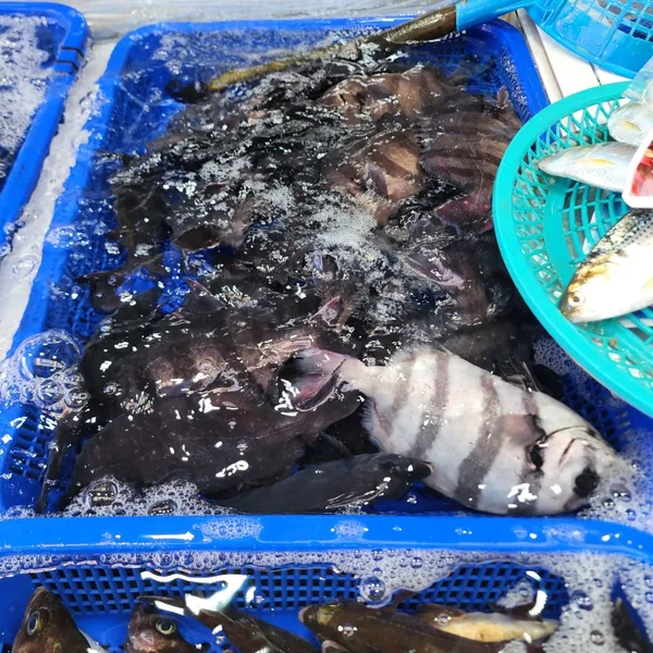 コジェゴヒョン市場の写真3