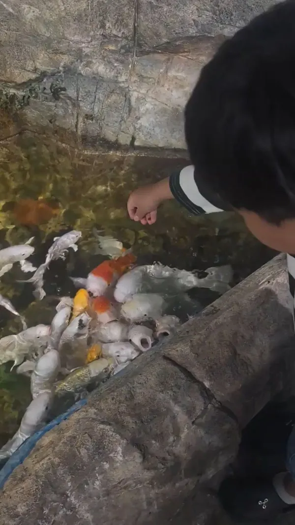 アルティステマパーク