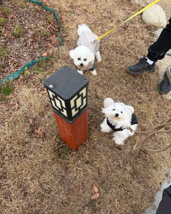 トクチンチェリョン公園の写真3