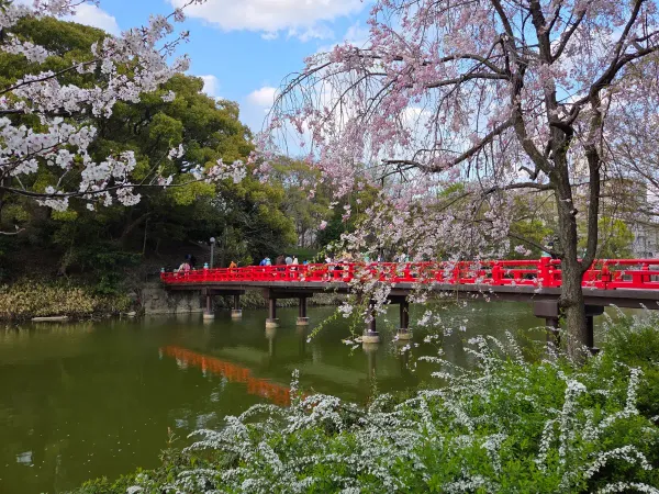Tennoji Park, photo 2