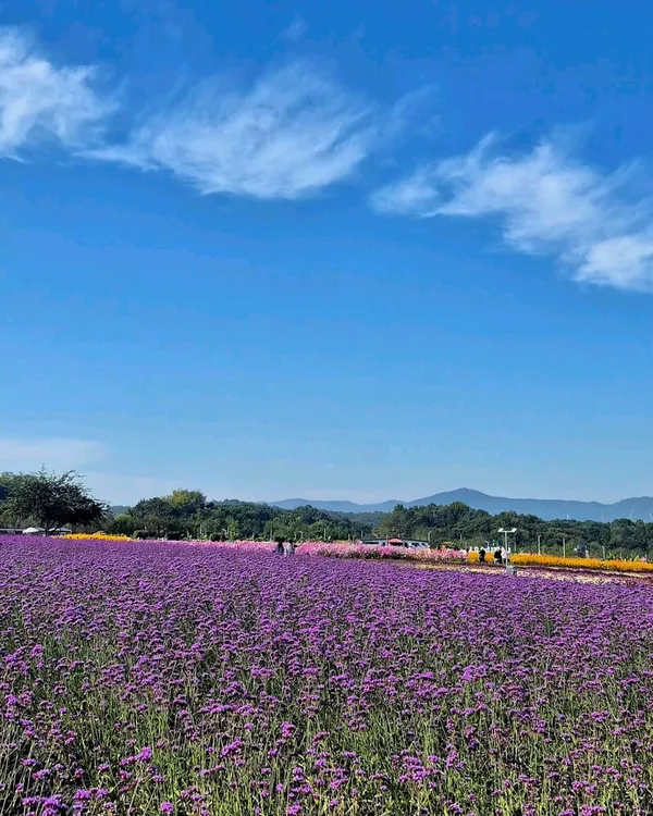 ナリ公園の写真3