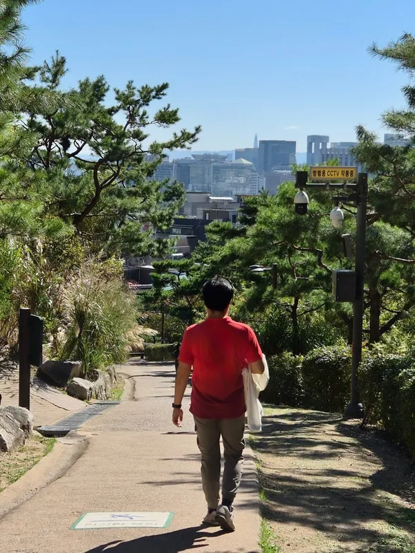 폴루이트 사진 2