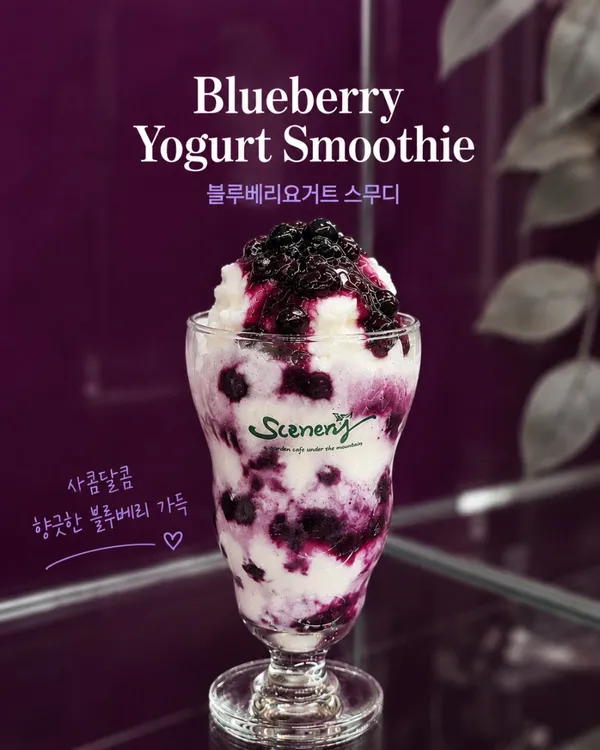 시너리 사진 5