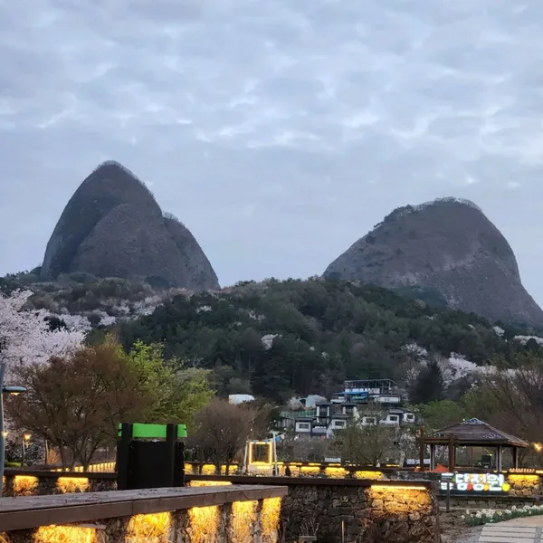 마이정원 사진 3