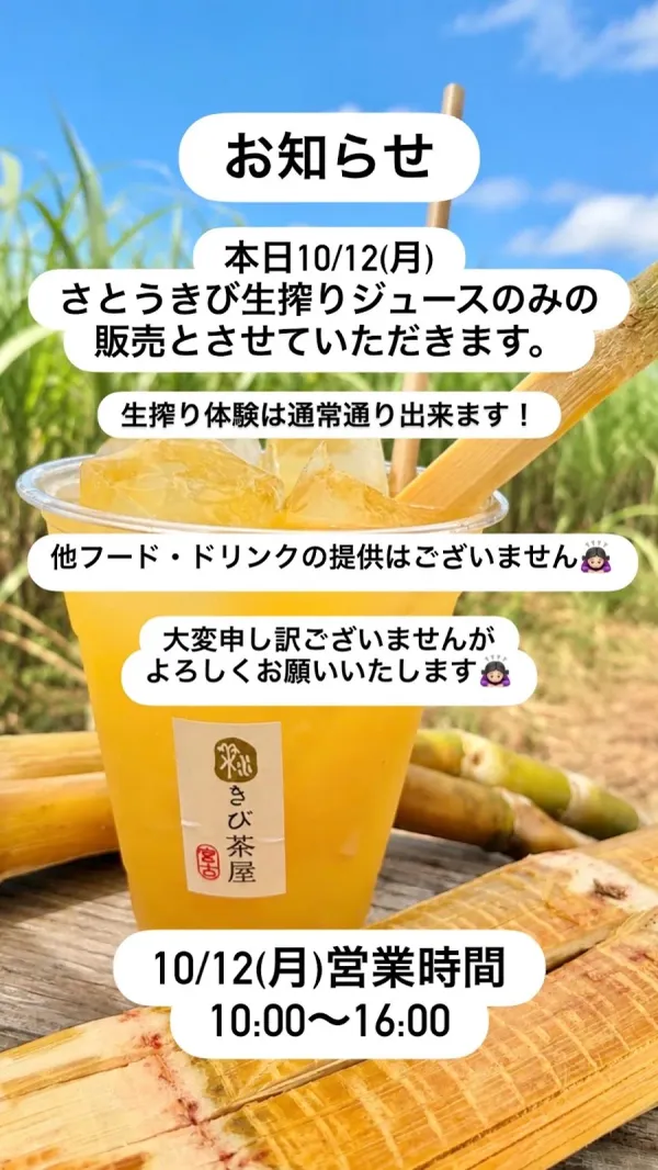 미야코 키비 차야 사진 5