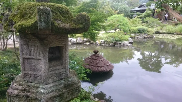 ナラシの写真2