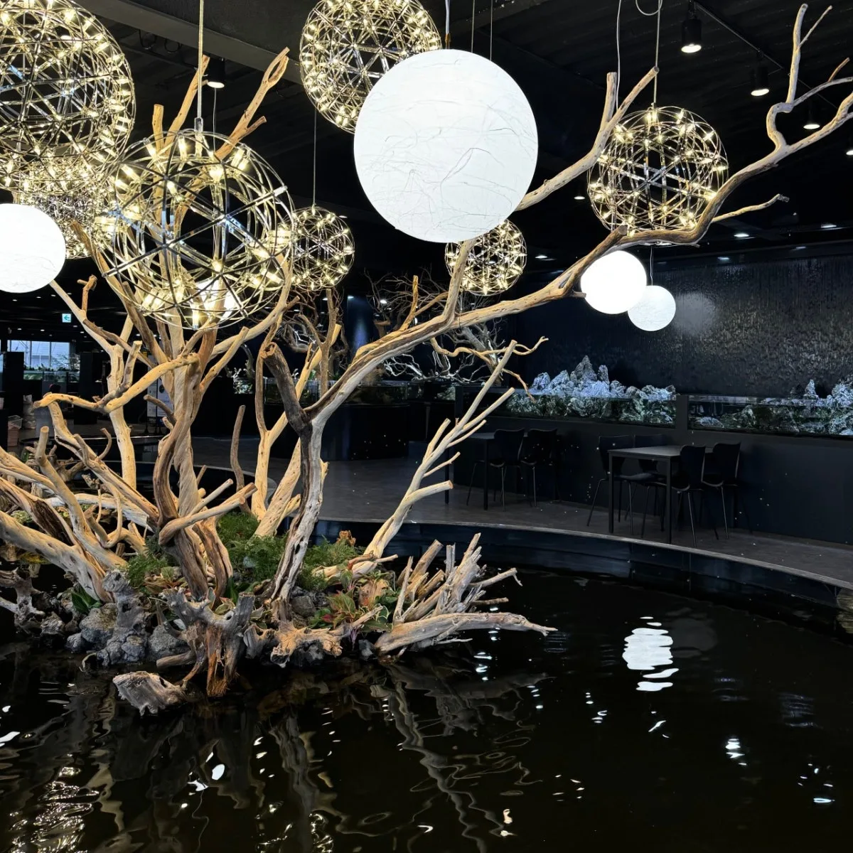 スプルリム アクアカフェ&パブ キンポ店のメイン写真